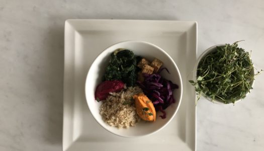 BROWN RICE WITH PUMPKIN CREAM, TEMPEH AND SEASONAL RAW AND SAUTE’ VEGETABLES